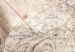 42 Estate Map 1861 Tuollocharrich and Tarantoul 