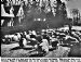 22 Glenbuchat Sheep Herding