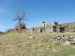 113 Upperton Today