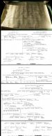 137 Dawson Calum Family Tree