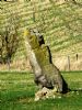 139 Glenkindie Standing Stone