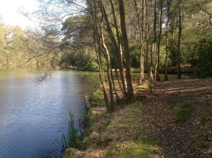 The lake at the Hyde, Handcross