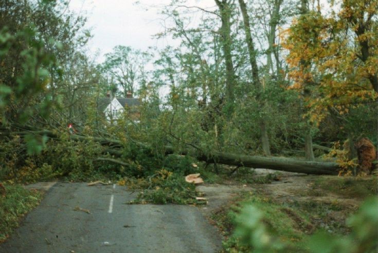 Great Storm - Balcombe Lane, Handcross