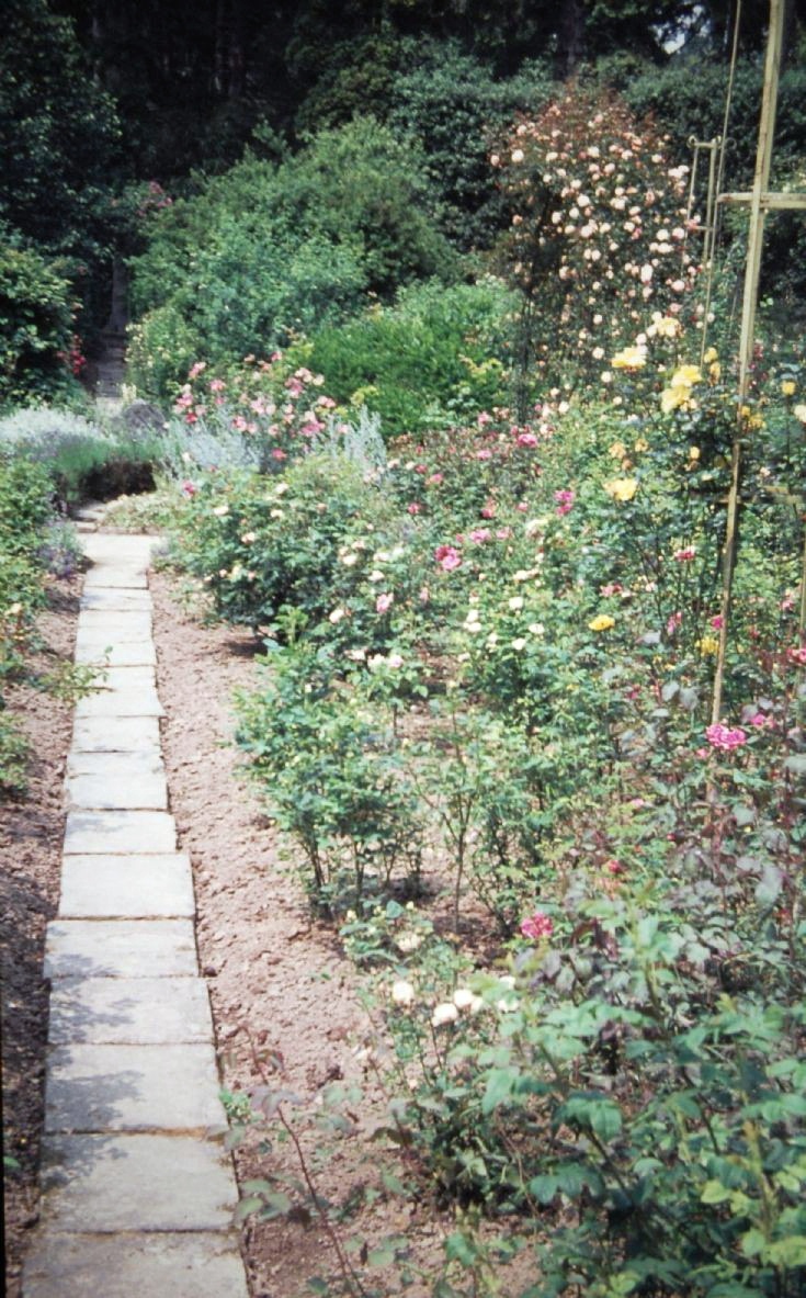 Nymans - Rose Garden renovation (1)