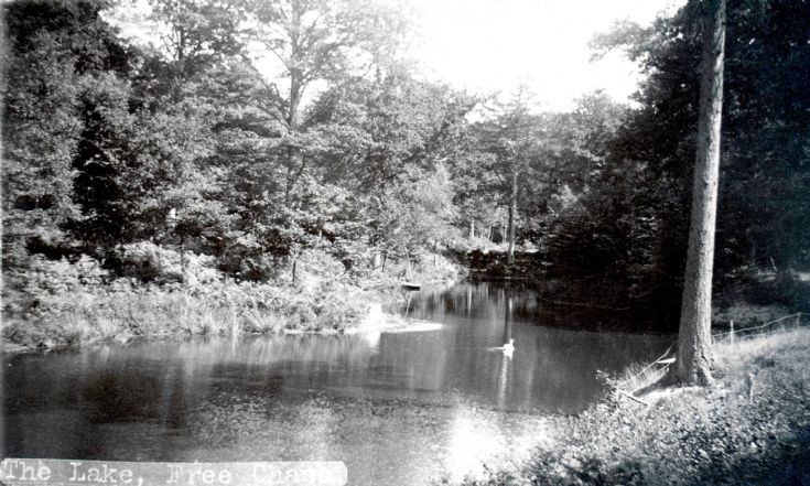 The lake at Free Chase, Warninglid
