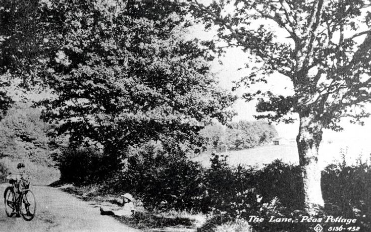 Parish Lane