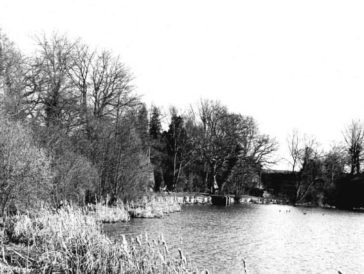 Mill Pond at Slaugham with sluice