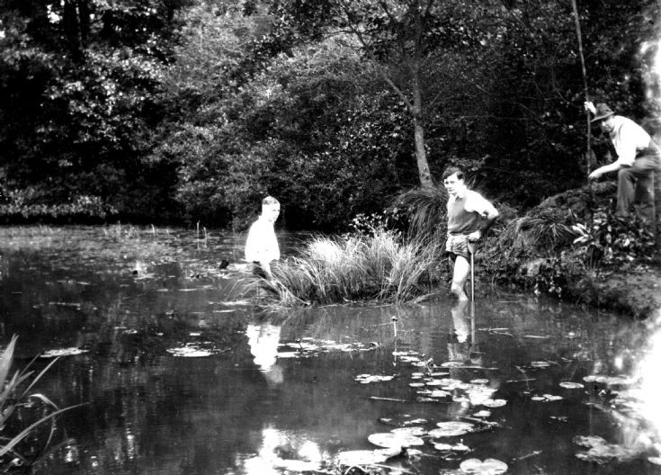 Tilgate stream cleaned by Nix family