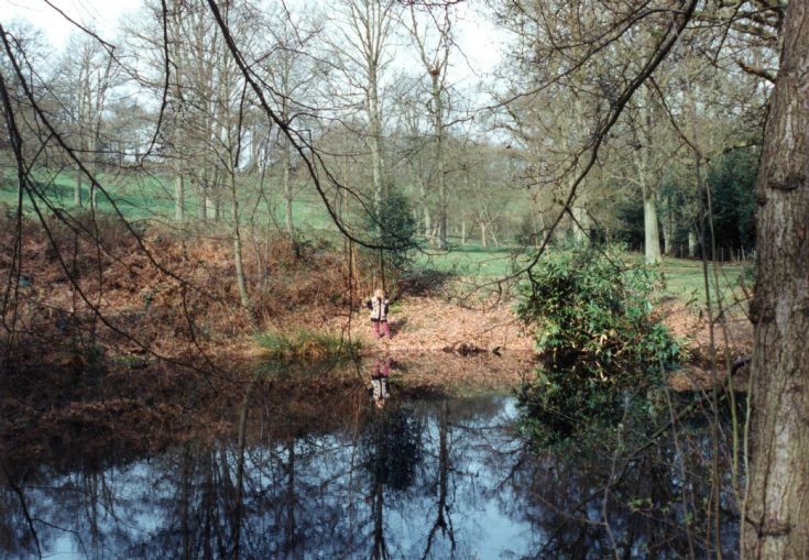 Goldfish pond at Nymans