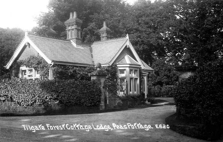 Tilgate Forest Cottage Lodge, Pease Pottage