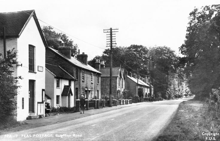 Tilgate Forest Row, Pease Pottage