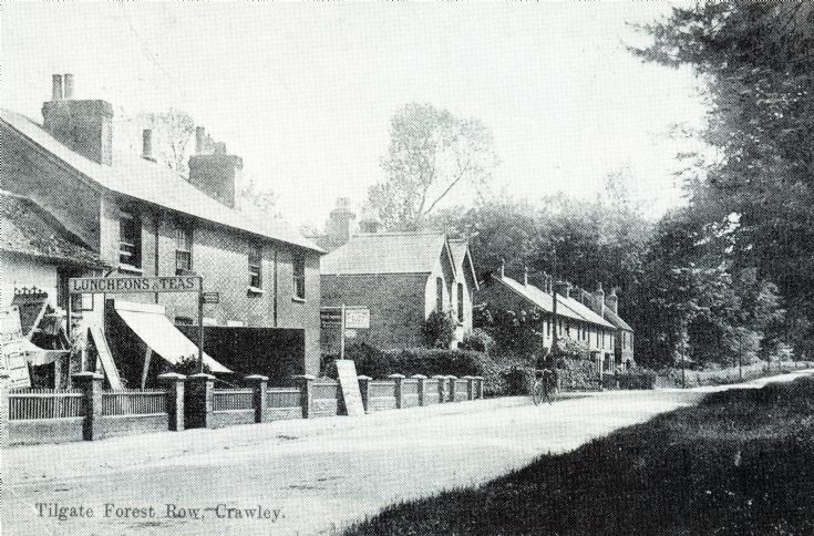 Tilgate Forest Row, Pease Pottage