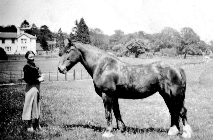 Slaugham Park - Miss Hilary Preston and horse