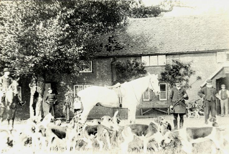 Foxhounds at the Black Swan, Pease Pottage