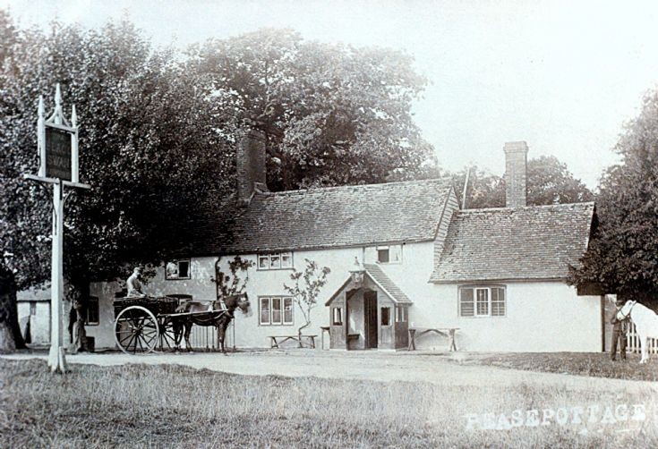 Horse and trap outside the Black Swan