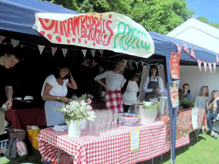 Staplefield Village Fete 2015 (2 of 5)