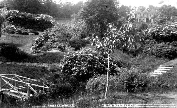 High Beeches forest walks, Handcross