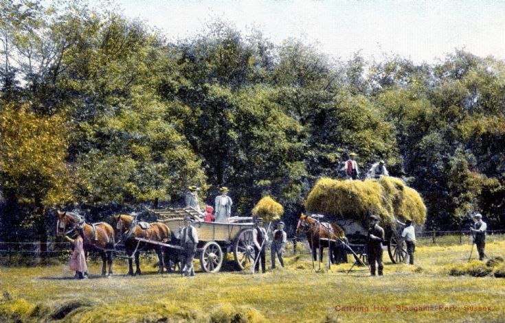 Farming at Slaugham Park