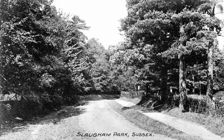 Slaugham Park drive