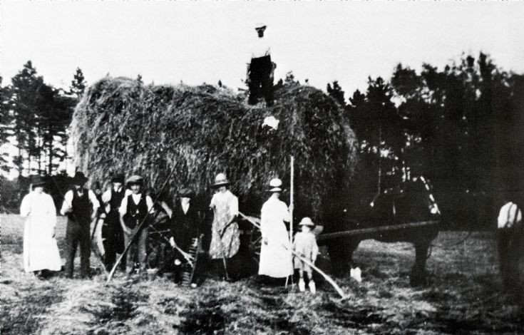 Haymaking at Portways Farm