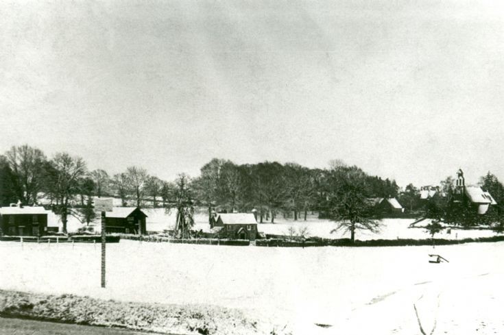 Staplefield Common