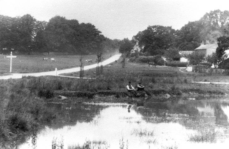 Staplefield pond