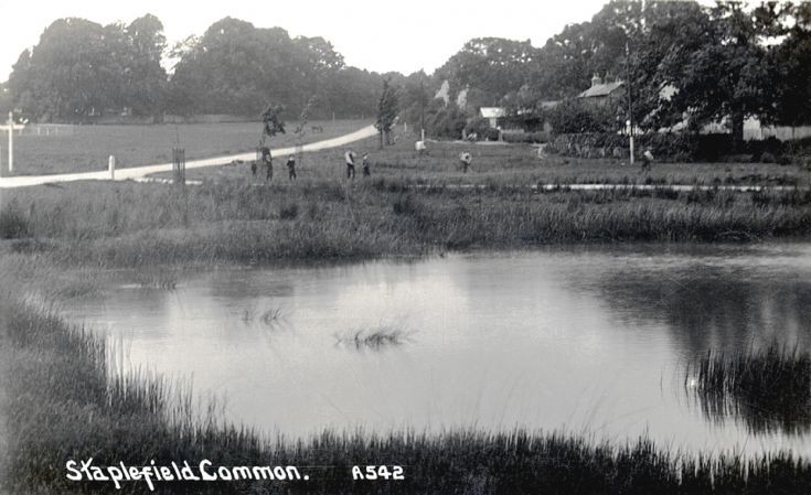 Staplefield pond