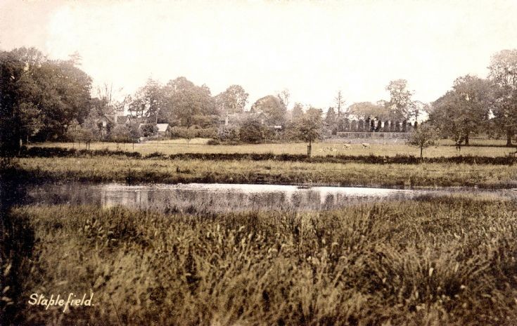 Staplefield pond
