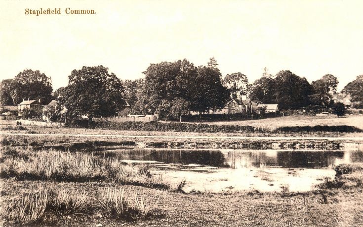 Staplefield pond