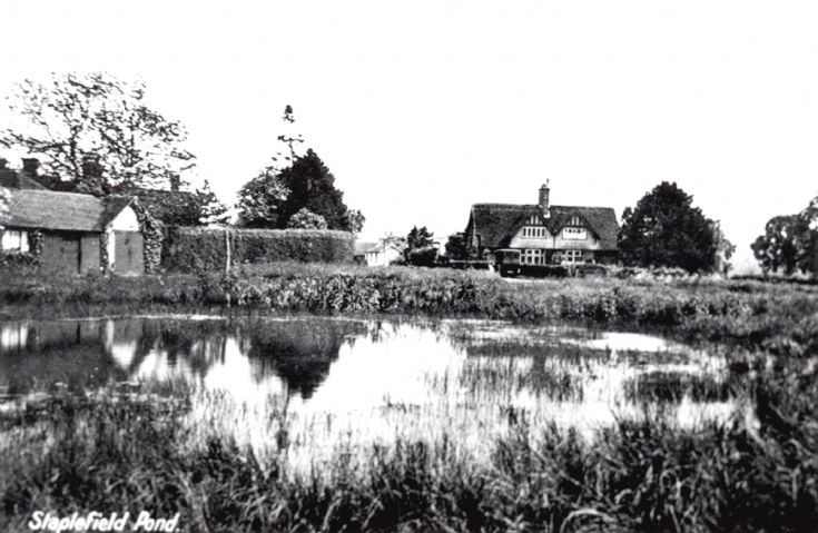 Staplefield pond