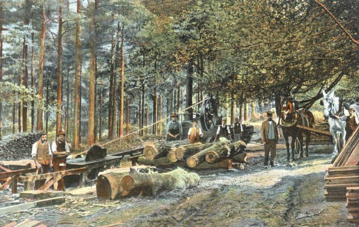 Tilgate sawmill