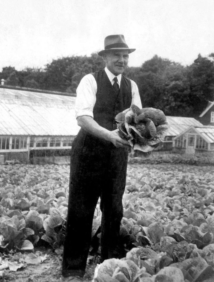 George Cook of Tilgate