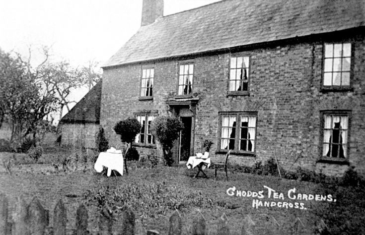 Chodds Tea Gardens