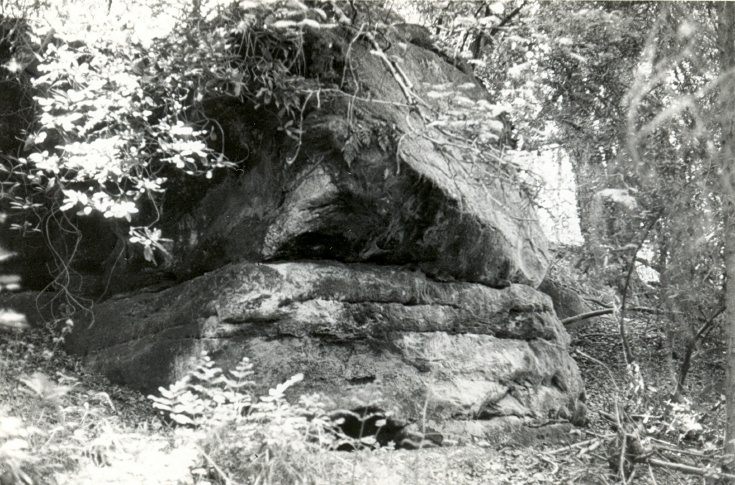 Pook's Church at Nymans