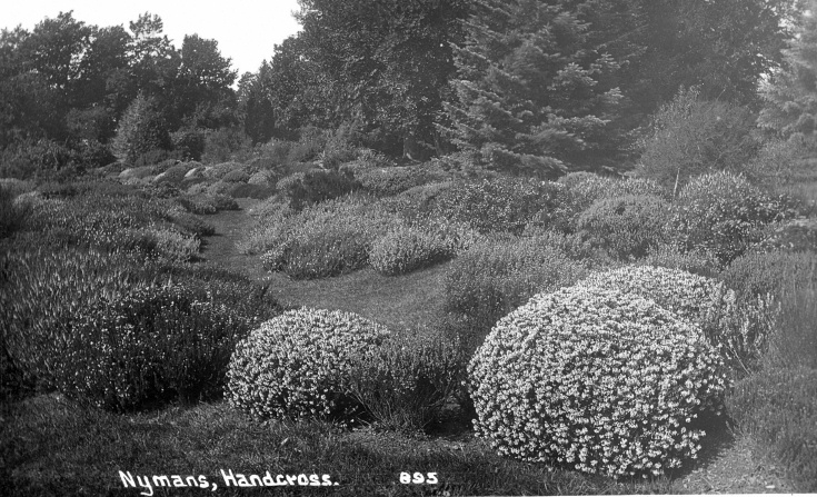 The heather garden at Nymans