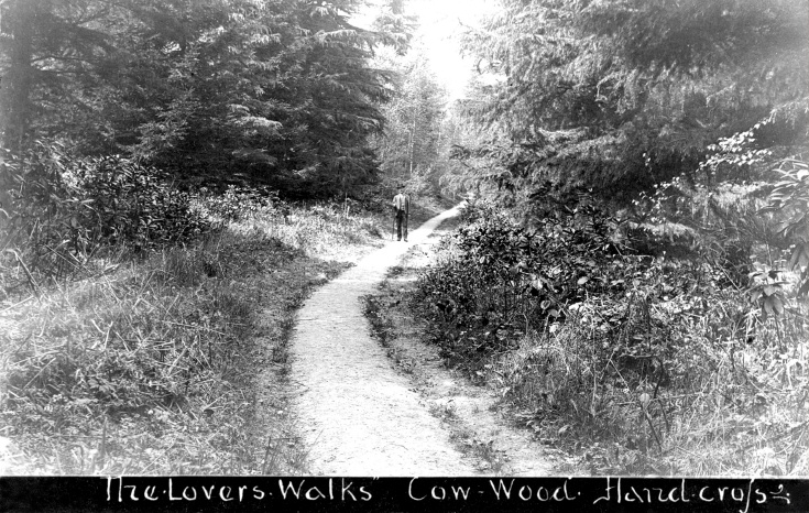 Cow Wood, Nymans