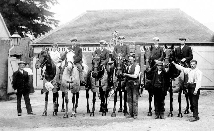 Horses in the Red Lion yard