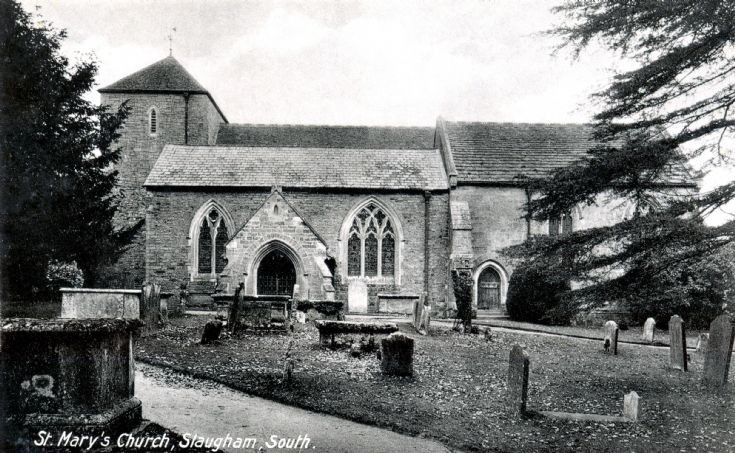 Trees in Slaugham churchyard