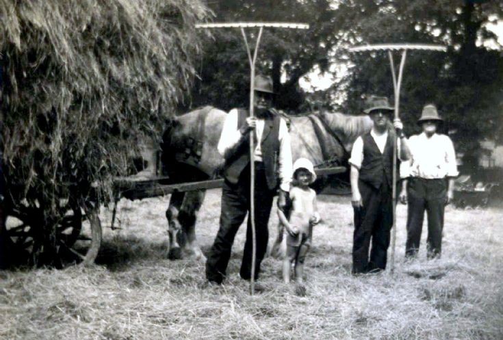 Haymaking in the cricket field, Handcross