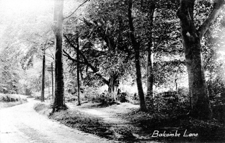 Balcombe Lane and telegraph poles