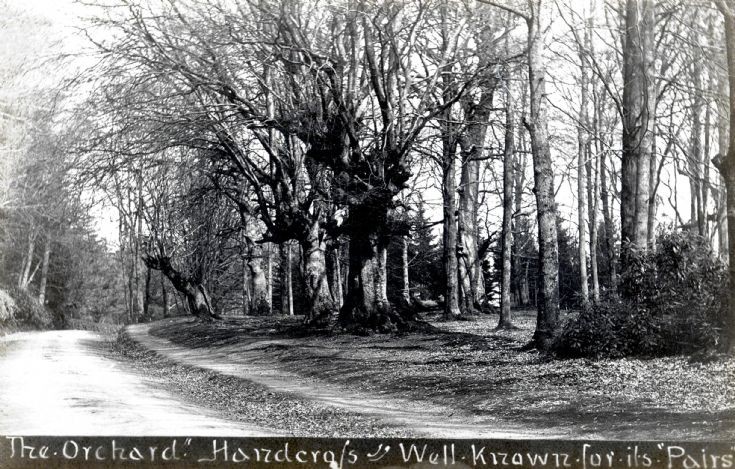 Balcombe Lane