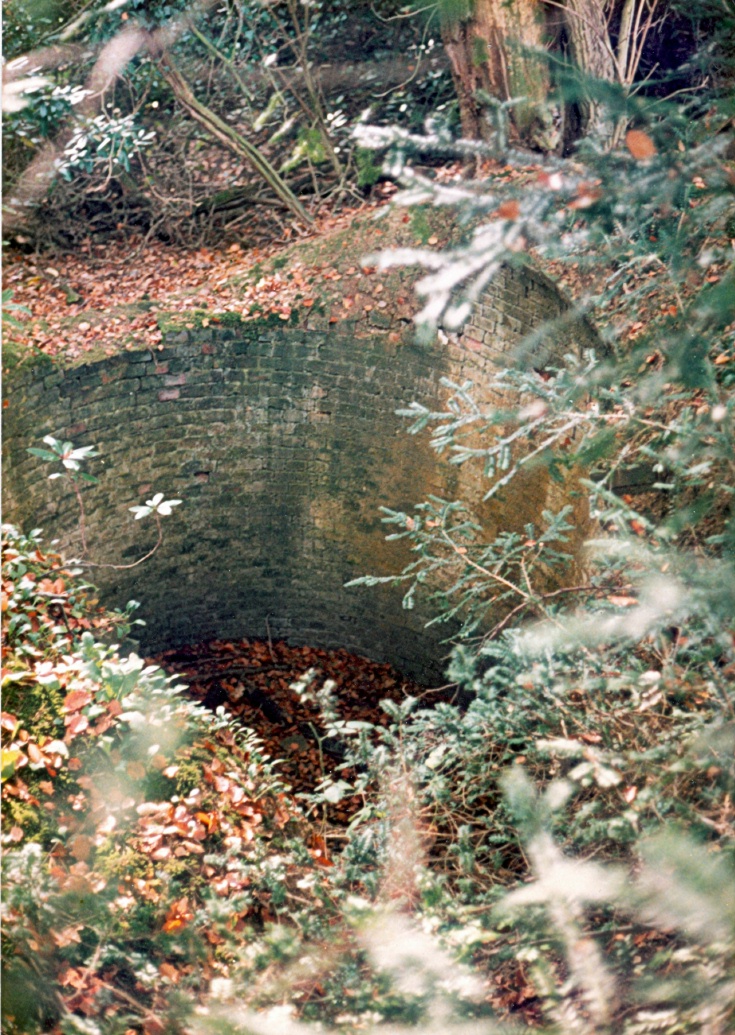 Ice house at Ashfold