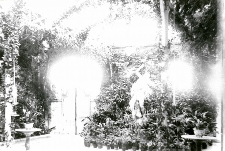 The conservatory at Buchan Hill house