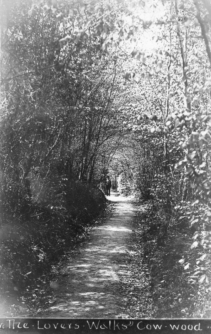 Lovers' Walks, Cow Wood, Nymans