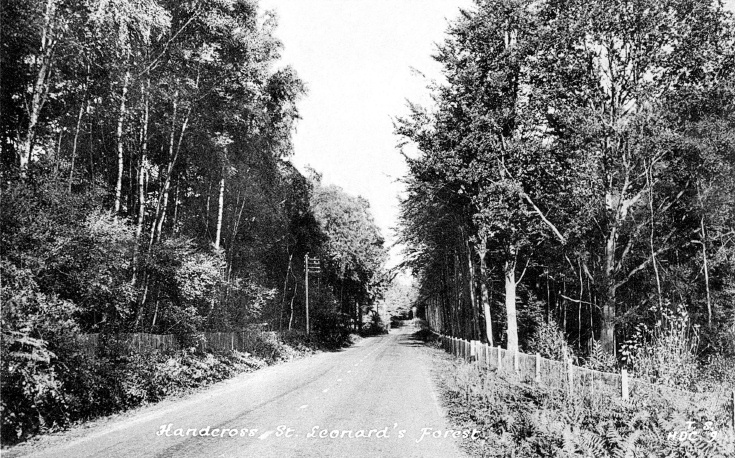 Horsham Road, Handcross and St Leonards Forest