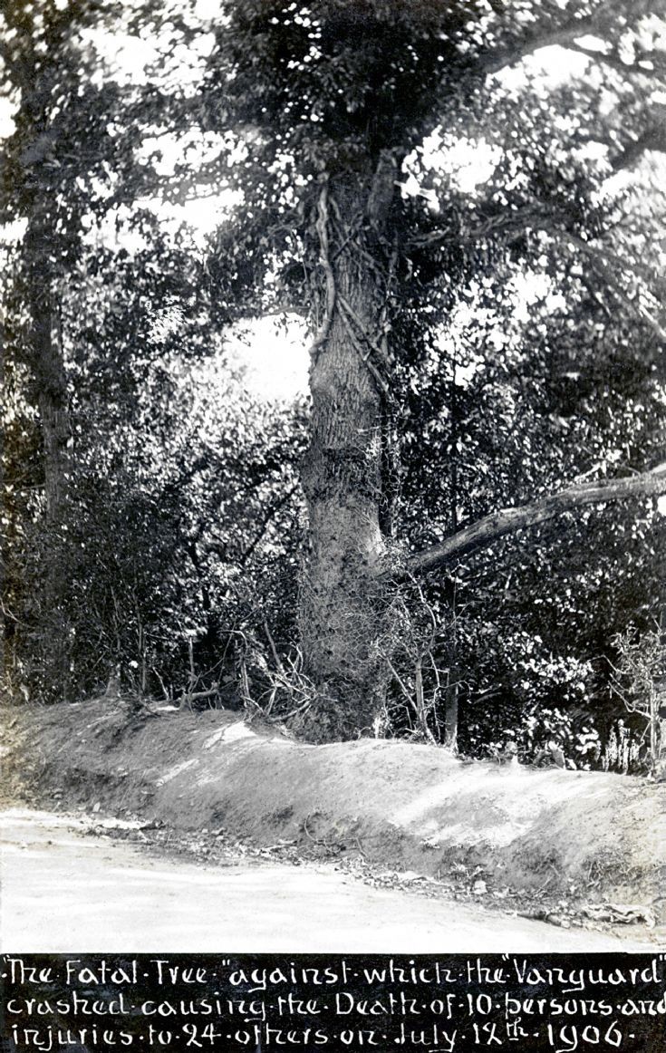 Vanguard accident - Oak tree hit