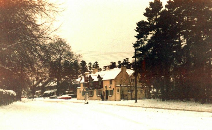Jolly Tanners in the snow