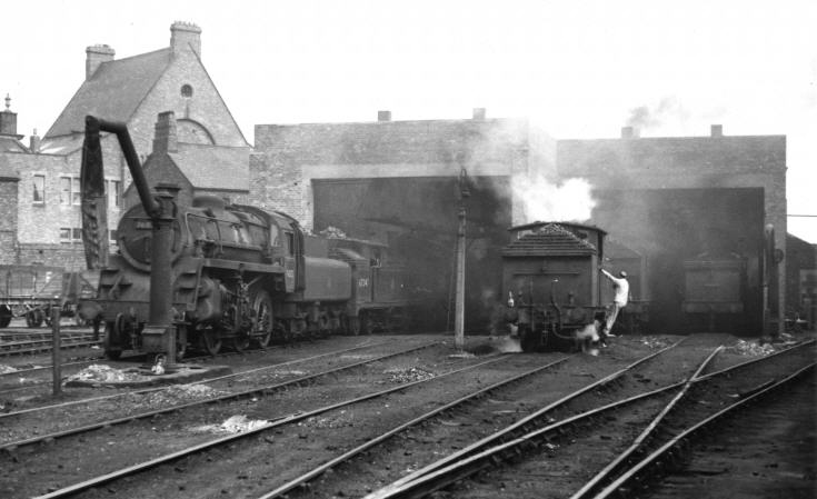 Sunderland Shed