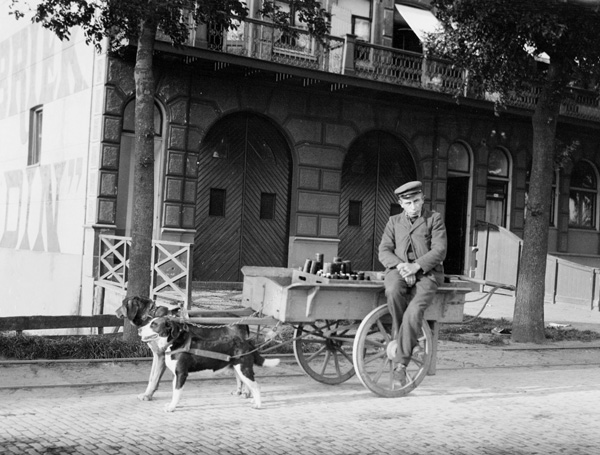 Dog Cart, Netherlands