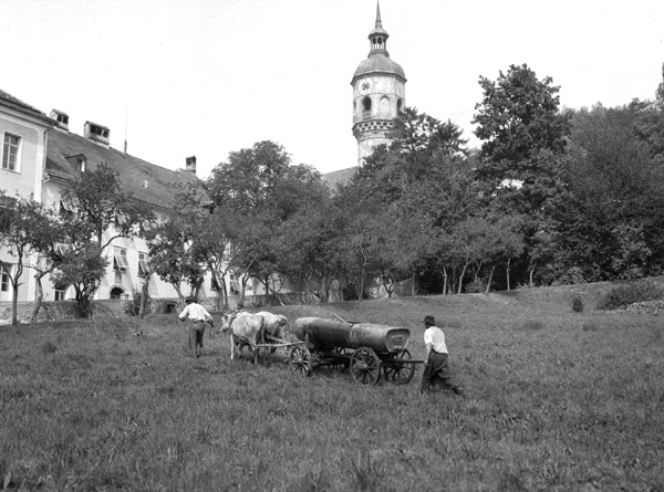 Men, oxen, and wagon- Germany